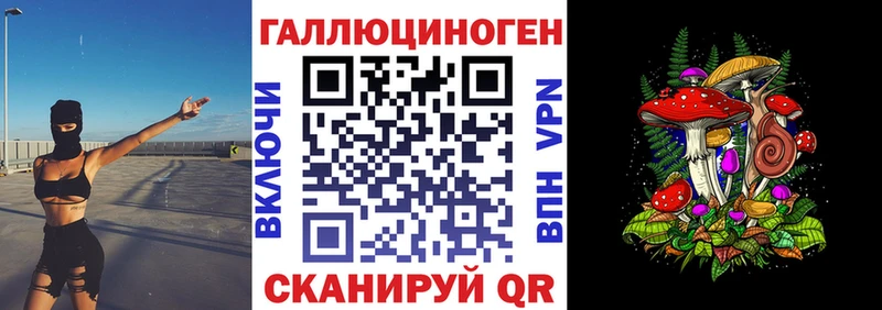 где продают наркотики  blacksprut вход  Галлюциногенные грибы Magic Shrooms  Вятские Поляны 